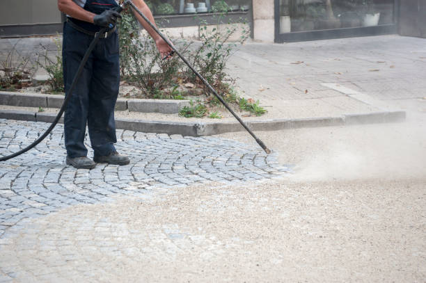 Best Roof Washing  in Hasley Nyon, CA