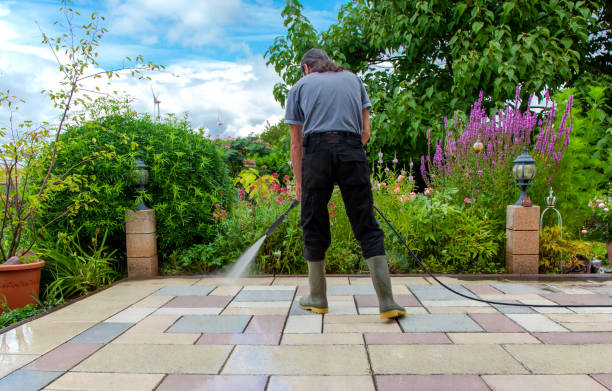 Best Animal Enclosure Cleaning  in Hasley Nyon, CA