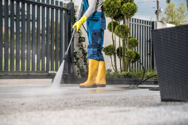 Best Fence Cleaning  in Hasley Nyon, CA