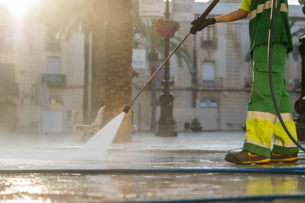 Best Driveway Pressure Washing  in Hasley Nyon, CA